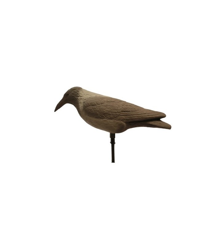 ART. 56 - CORNACCHIA GRIGIA POSATA