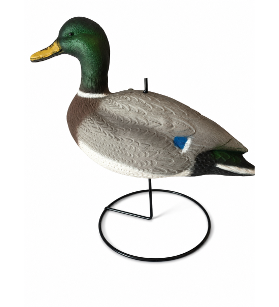 Art. 7 m germano con piedistallo maschio h 42 cm peso 590g