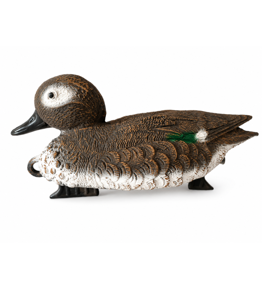 Art. 9 f marzaiola femmina 28cm x 12 cm di altezza e peso 270g