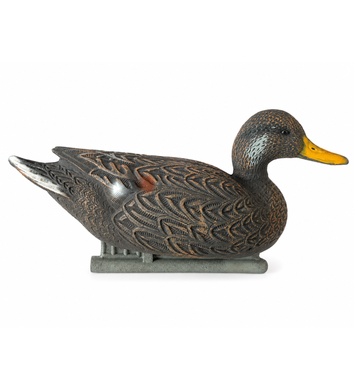 Art.15 f Canapiglia femmina 350 g