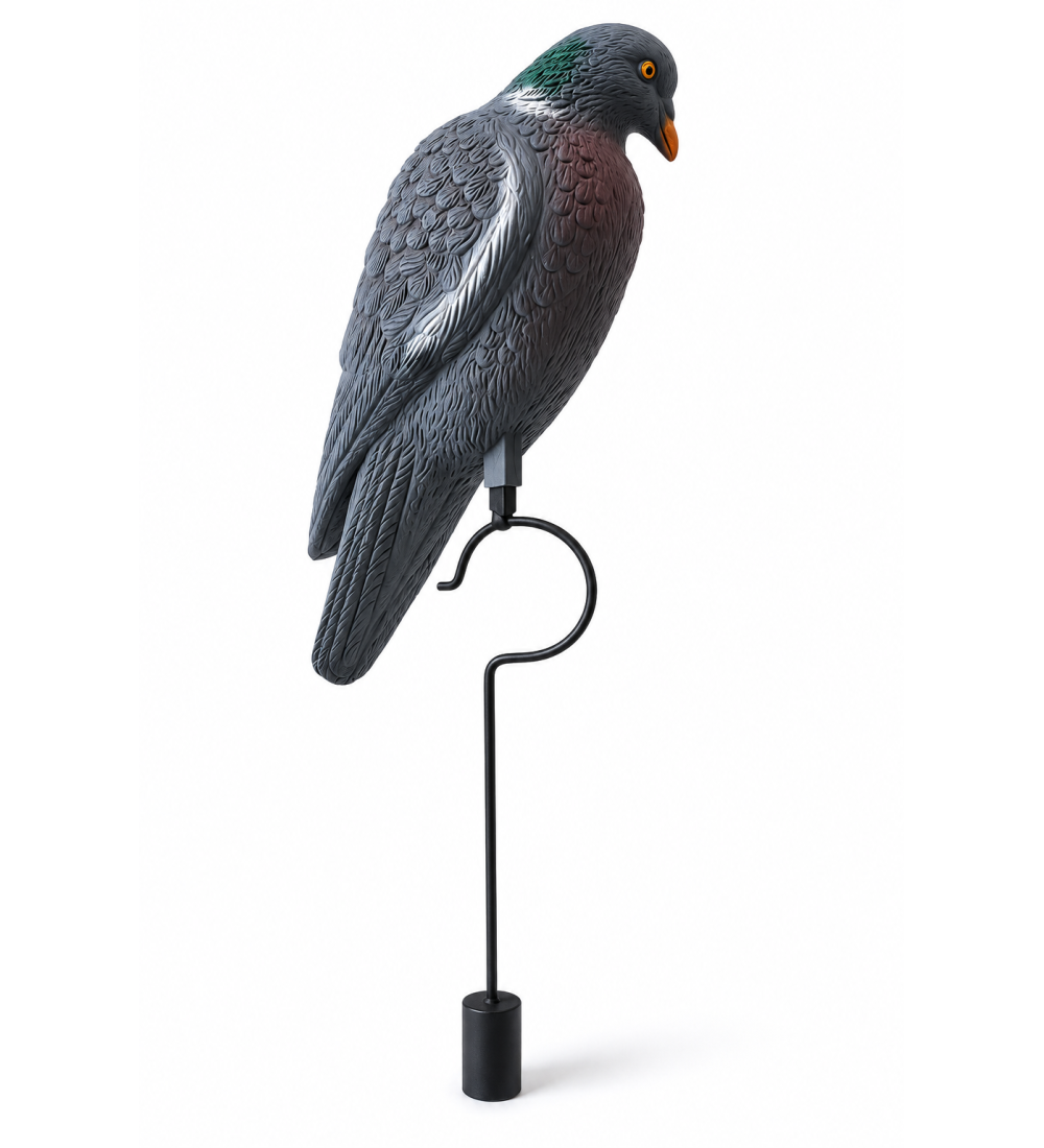 Art. 38/p colombaccio a riposo con pendolo g.270