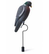 Art. 38/p colombaccio a riposo con pendolo g.270