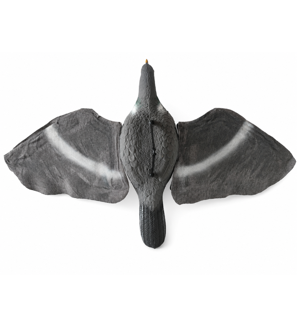 Art. 44  colombaccio ali in microfibra coda stretta g.230