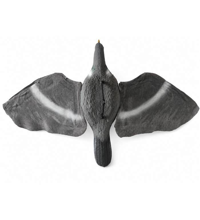 Art. 44  colombaccio ali in microfibra coda stretta g.230