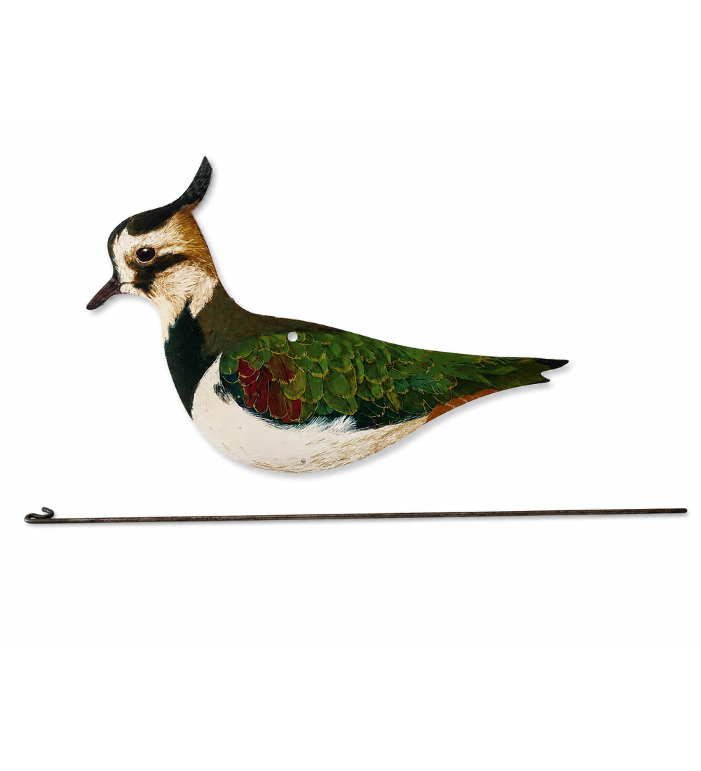 Art. 53 pavoncella piatta g.135