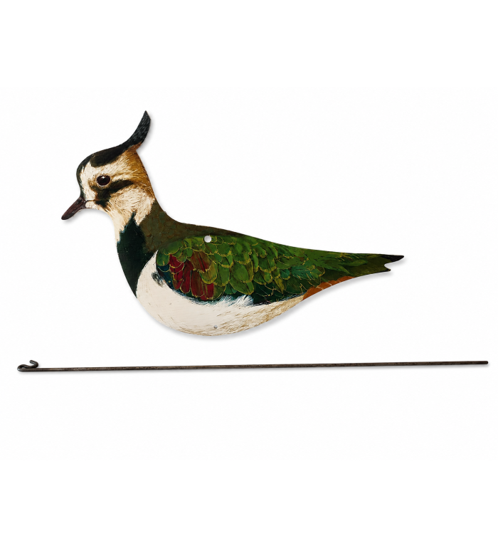 Art. 53 pavoncella piatta g.135