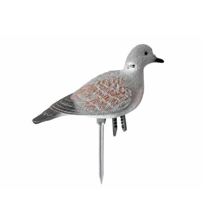 Art. 58  tortora con asta g.65