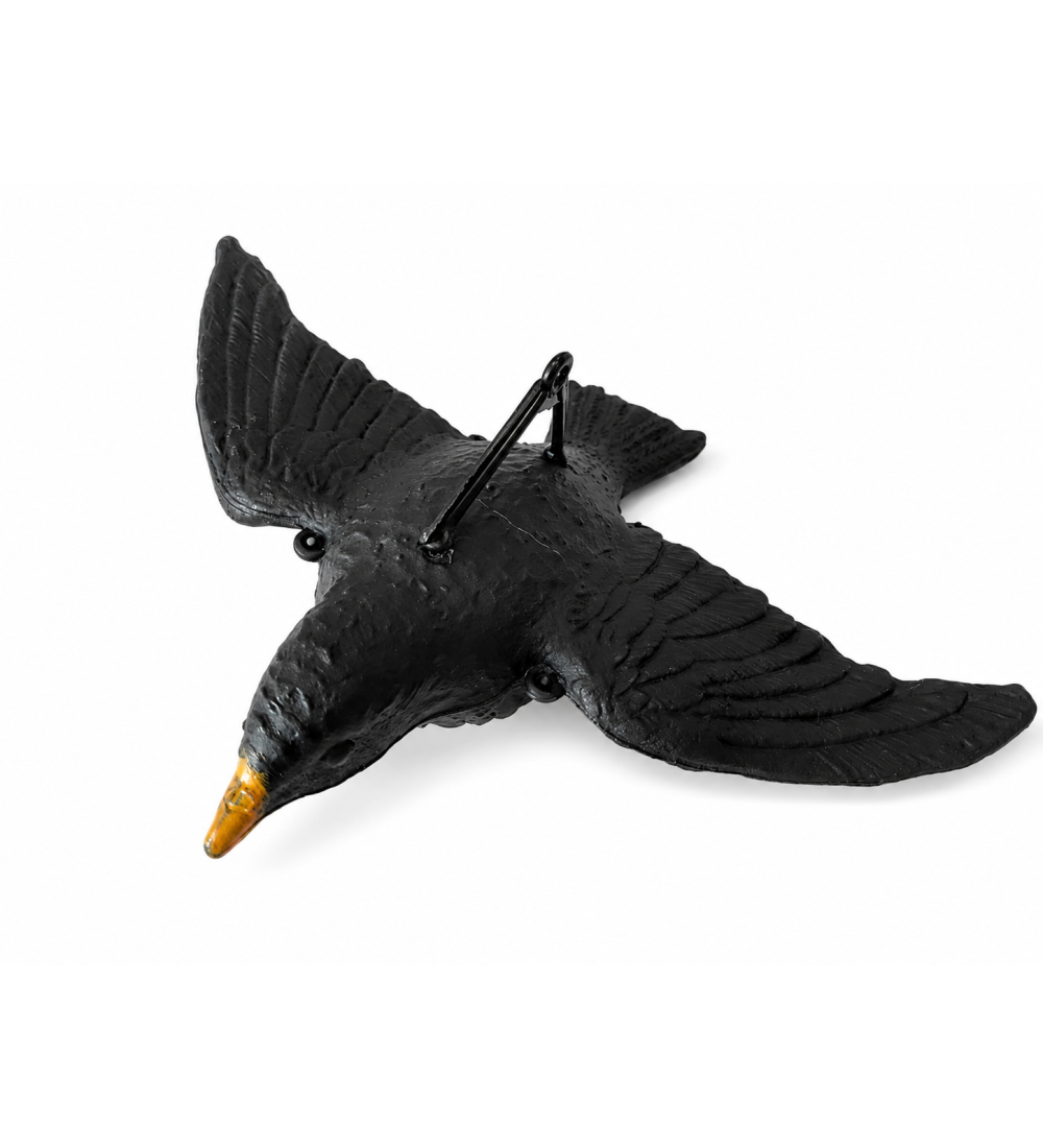 Art. 61 Merlo in volo con scritta merlo g.80