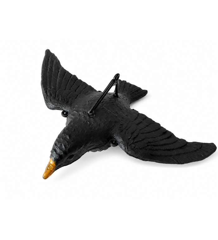 Art. 61 Merlo in volo con scritta merlo g.80