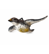 Art. 63 tordo in volo g.55