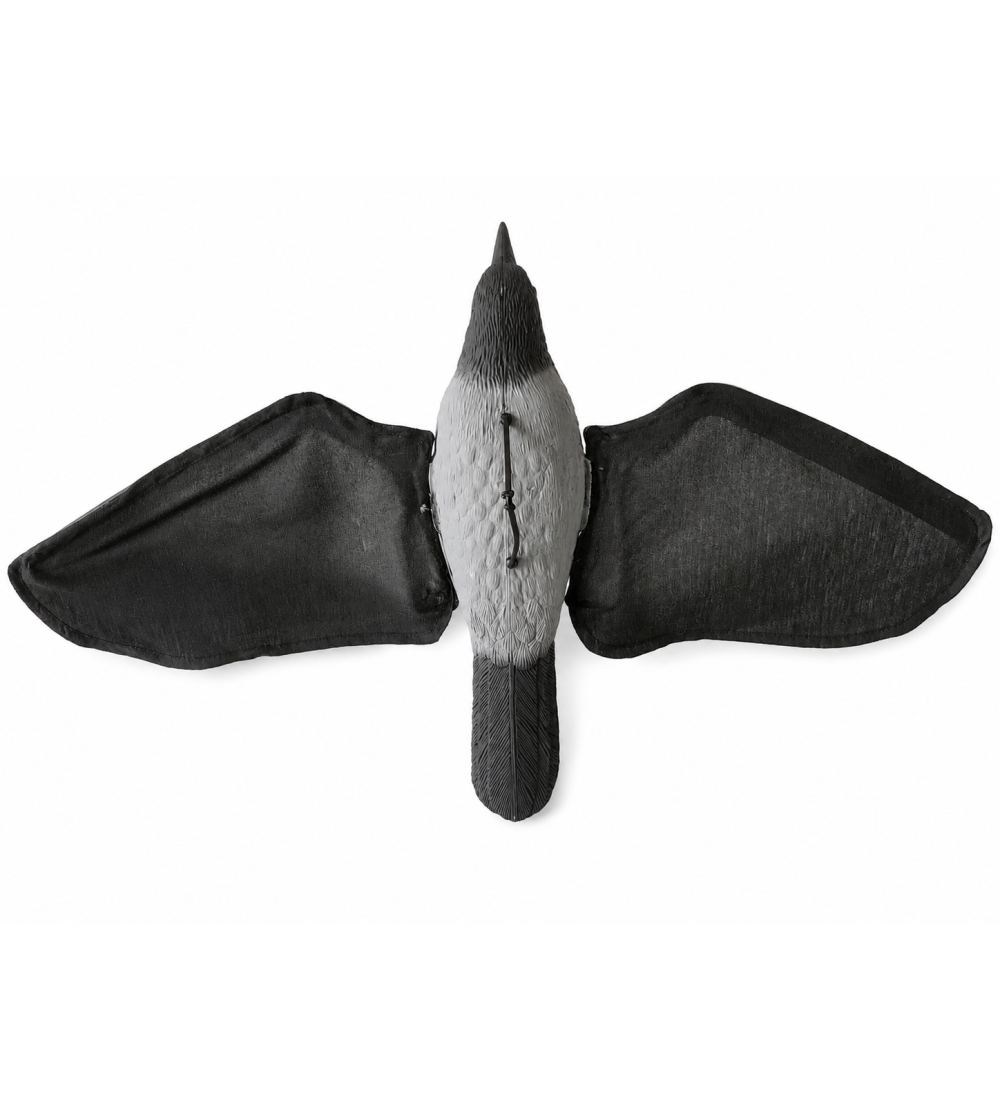 Art. 57/S cornacchia grigia in volo ali in microfibra g.180