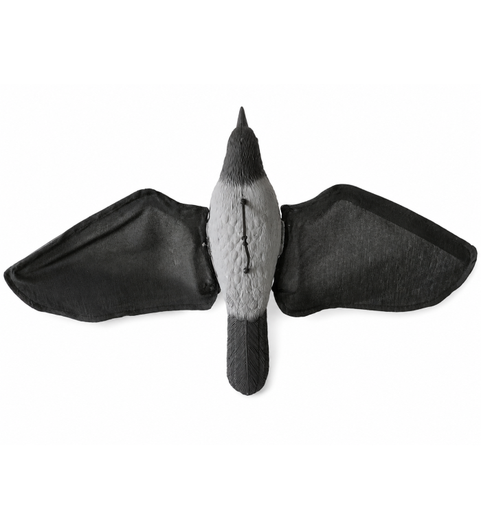 Art. 57/S cornacchia grigia in volo ali in microfibra g.180