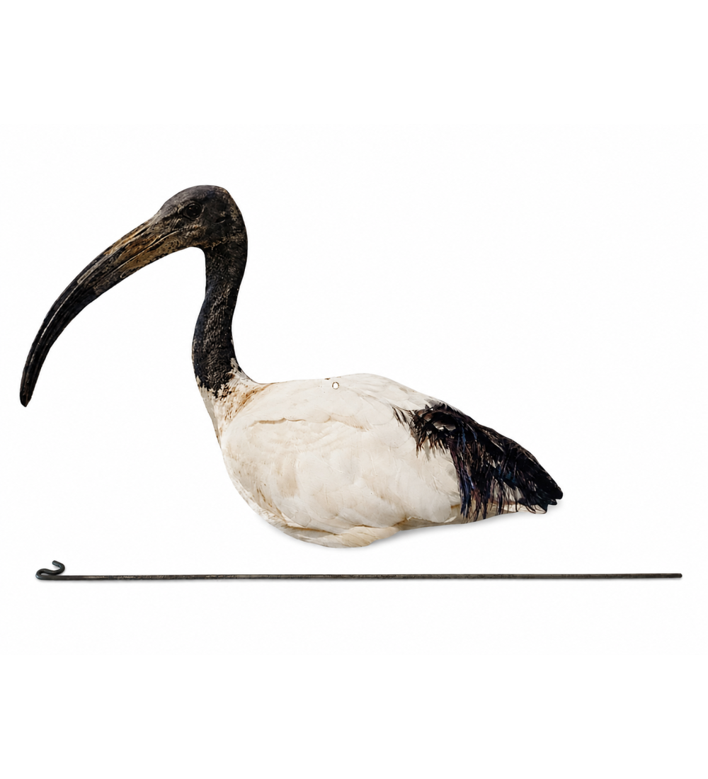 Art. 68 Ibis sacro con asta in acciaio g.120 cm 55