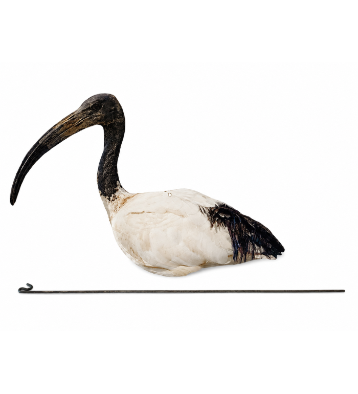 Art. 68 Ibis sacro con asta in acciaio g.120 cm 55