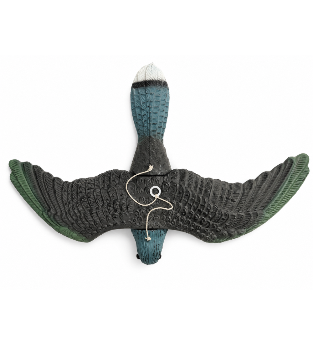 Art. 69 falco spaventa colombi e altri uccelli g. 270