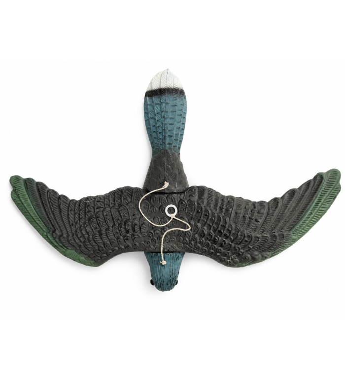 Art. 69 falco spaventa colombi e altri uccelli g. 270