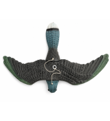 Art. 69 falco spaventa colombi e altri uccelli g. 270