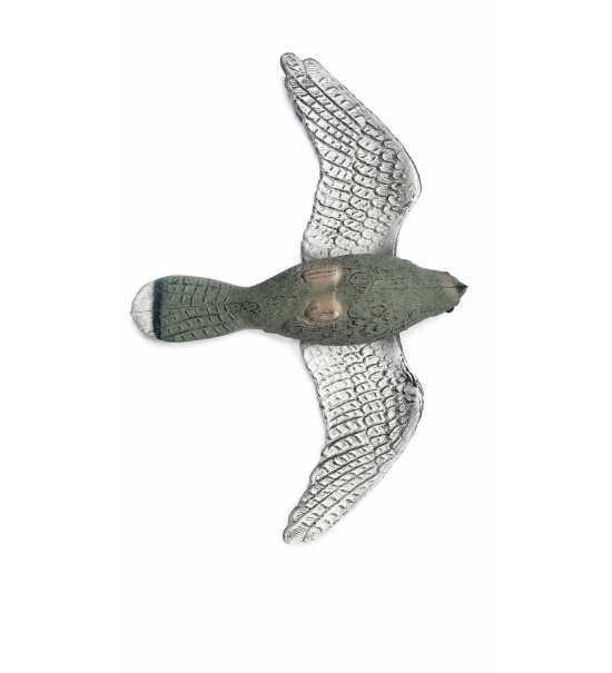Art. 69 falco spaventa colombi e altri uccelli g. 270