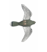 Art. 69 falco spaventa colombi e altri uccelli g. 270