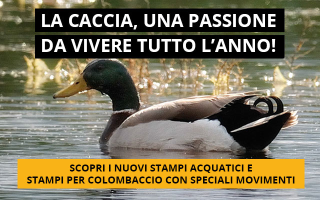 Stampi acquatici e per colombaccio